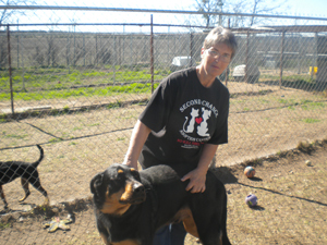 Love of animals leads volunteer to area shelter